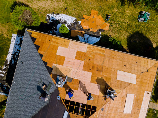 Best Gutter Installation and Roofing  in Dawson, GA