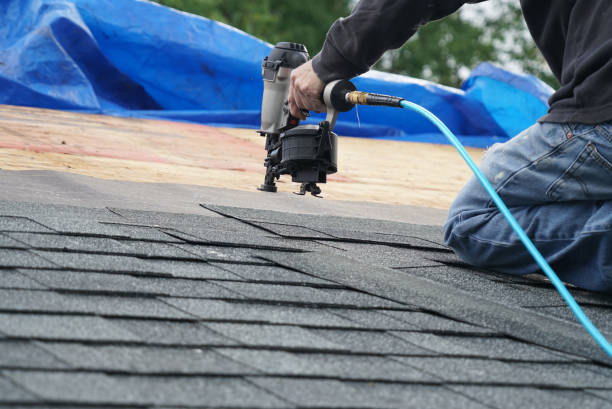 Best Roof Gutter Cleaning  in Dawson, GA