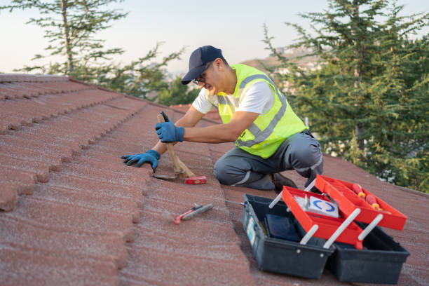 Best Residential Roofing Contractor  in Dawson, GA